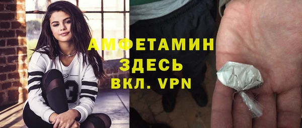 твердый Бородино
