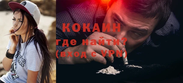 твердый Бородино