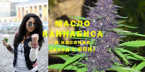 твердый Бородино