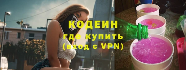 твердый Бородино