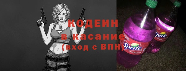 твердый Бородино