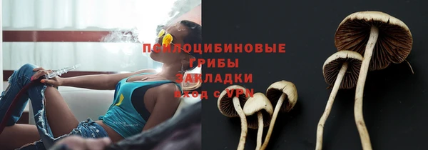 твердый Бородино