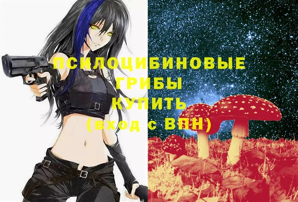 твердый Бородино